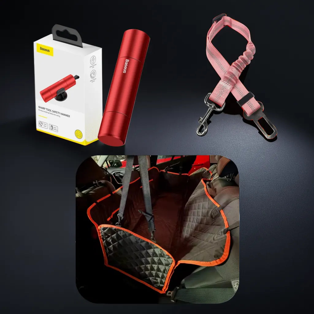 Pet Travel Bundle